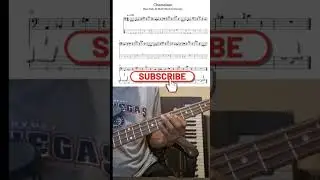 Chameleon Bass Cover with Tabs by Herbie Handcock. #basscover #basstabs