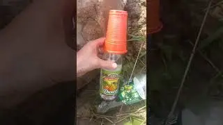вот такая работа