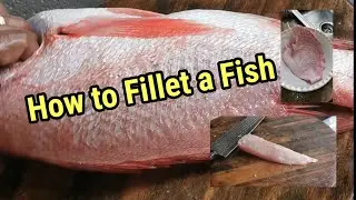 COOKING VLOG: How to Fillet a Red Snapper Fish