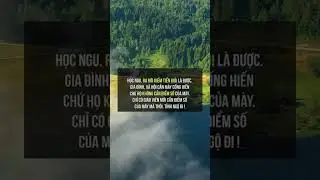 Học ngu ra đời kiếm tiền vioir là được