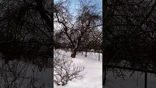 #московскаяобласть