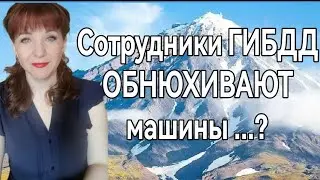 Сотрудники ГИБДД обнюхивают машины в поисках рыбы?