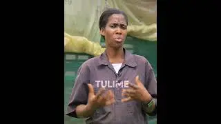 HOW TO DEAL WITH YOUR SOW#farming #viral #viralvideo #agriculture #animals #viralshort #viralvideos