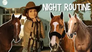 NIGHT ROUTINE as an EQUESTRIAN! WINTER ROUTINE!