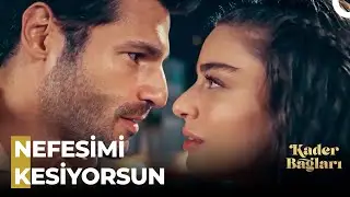 Bir Günde Aşık Olur Mu İnsan? 