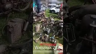 24 апреля 2024 г.