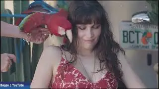 «Выставка Альберта Уотсона»