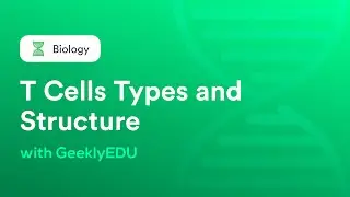 T Cells Types and Structure | Adaptive Immune System