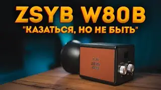 ZSYB W80B. Ещё хочешь малоизвестный свет?))