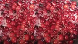 How to Preserve Your Own Cranberry Juice Without Additives