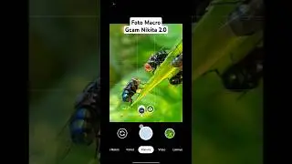 Gcam Nikita 2.0 Config Pixel Stable, Test Mode Macro 