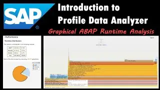 SAP: Introduction to Profile Data Analyzer (Graphical ABAP Runtime Analysis)