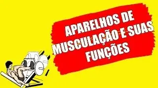 APARELHOS DE MUSCULAÇÃO E SUAS FUNÇÕES
