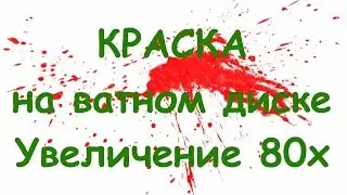 Краска | Macro | Увеличение 80х
