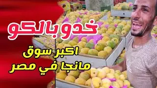 اكبر مزاد لبيع والدلالة على 🥭 المانجا في مصر 🇪🇬