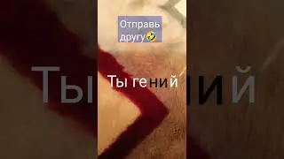 отправь это видео другу