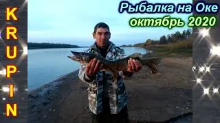На Оке в октябре. Целый день посвятил спиннингу