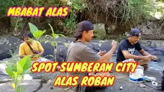 MBABAT ALAS || Spot Baru Sumberan City Alas Roban