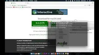 Cómo instalar NodeJS e inicializar un proyecto con NPM