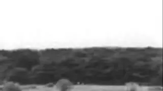 HORRIFIC PLANE CRASH, SHOCKING FOOTAGE