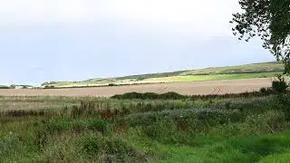 Fields with Harvester - 02-09-2023