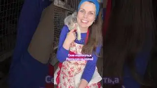 Ласкуша ☺️ 