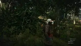 The Witcher 3 Беды с башкой НПС Олений апофеоз