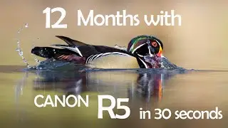 12 Months with the R5 in 30 seconds