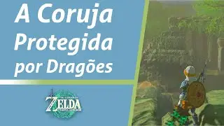 A Coruja Protegida por Dragões - The Owl Protected by Dragons