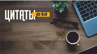 ЦИТАТЫ про 📚