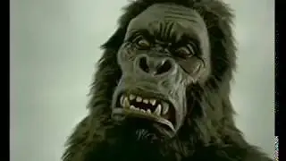 funny ad by Ford motors that will make you happy