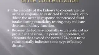 Kidney Function Tests