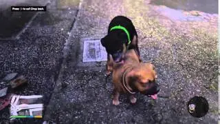 Grand Theft Auto V Chop have sex :]