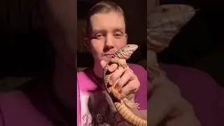 Кормлю Варана Кими сверчками