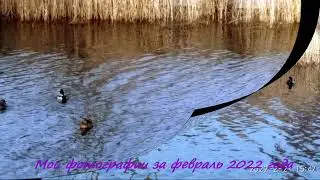 Мои фотографии за февраль 2022 года