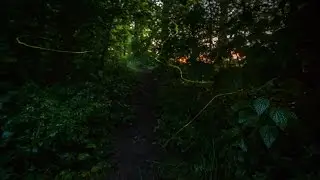 Glühwürmchen Flug - Echtzeit