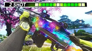 The DMR meta is BACK in WARZONE! 25 KILLS (BEST EBR 14 CLASS ASHIKA ISLAND)