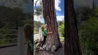 Для конкурса Белая Вода