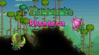 Как легко убить Плантеру|Terraria 1.2.4.1