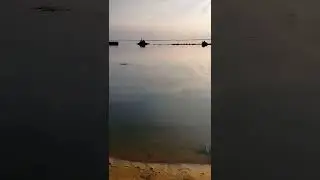 22 августа 2022 г. только шаг