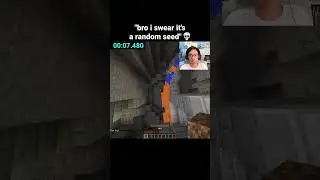 Minecraft Speedrun Moment