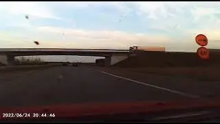 осёл на фуре