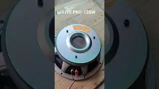 SOUNDS TESTING LIVE PRO-12BW
