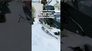 Добежит до 100 000? Yamaha RS Venture в тундре на пределе