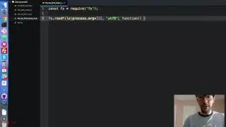 NodeJS with Free Code Camp  - My First Async IO - Video 4