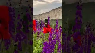 Крым. Белая скала.