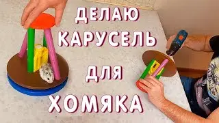 Как сделать КАРУСЕЛЬ ДЛЯ ХОМЯКА