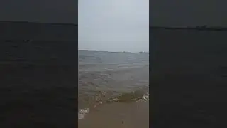 Волга, сильный ветер, волна.