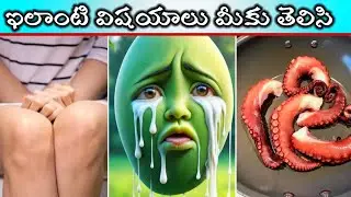 🤔ఇలాంటివి మీకు తెలిసి ఉండదు #factstelugu | interesting videos #facts #viralvideo