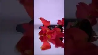 Мега автозагар❤️❤️❤️